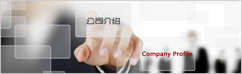 山東麗蘭卡裝飾材料有限公司
